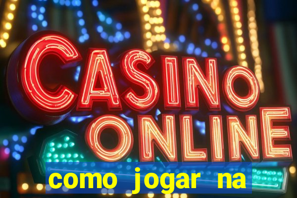 como jogar na lotinha do jogo do bicho